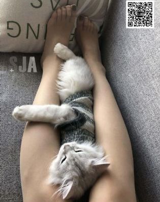 国产酒包装设计_超清免费观看超清