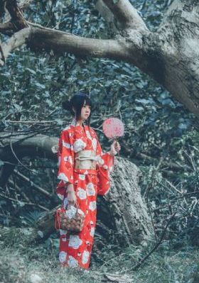 欧美风格室内装修介绍_高清在线视频观看
